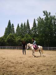 Pinghu City Aoduoqi Horse Riding Field