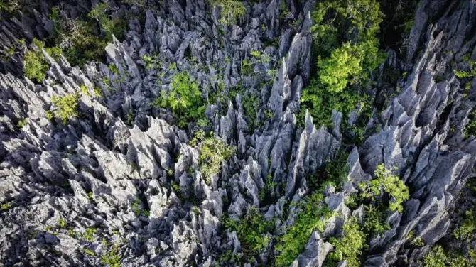 Xian'an Stone Forest