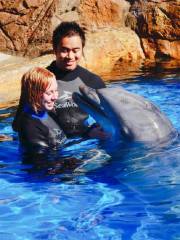 SeaWorld San Diego