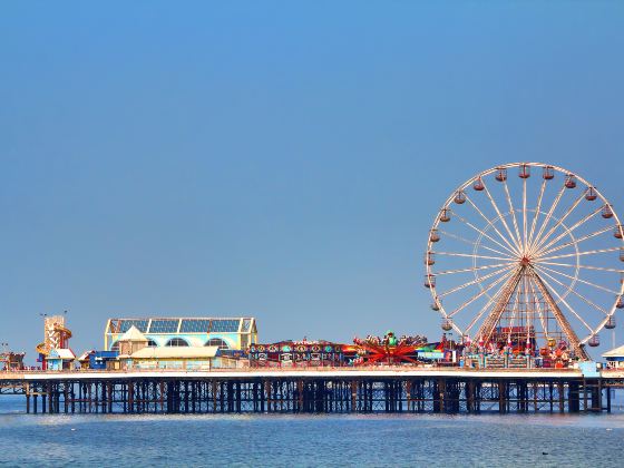 The Seattle Great Wheel