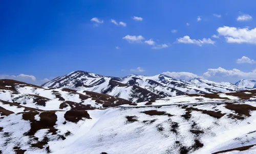 The Oceanlike Alpine Meadow Scenic Spot