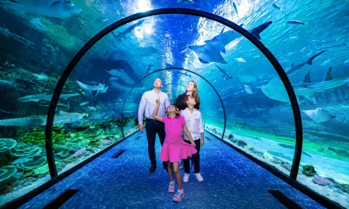 The National Aquarium Abu Dhabi