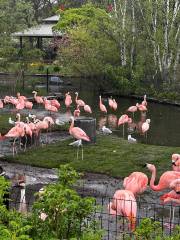 Nature Boardwalk at Lincoln Park Zoo