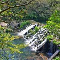 น้ำตกซอนจียอน (Cheonjeyeon Falls)