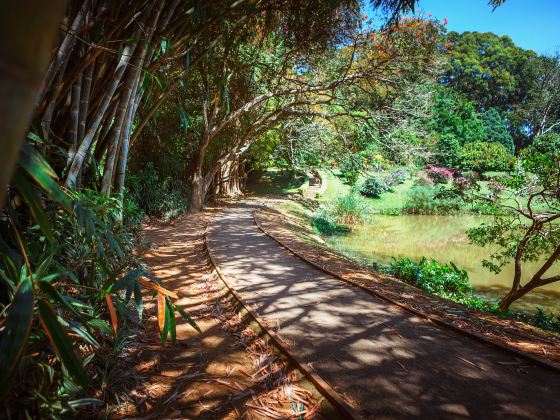 ペルダナ植物園