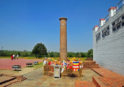 Ashoka Pillar