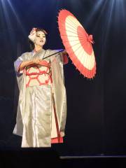 Kabuki Performances in Tokyo