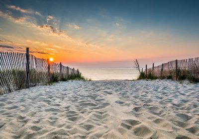 Ocean City Beach