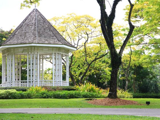 Giardini botanici di Singapore