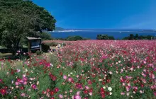 能古島海島公園