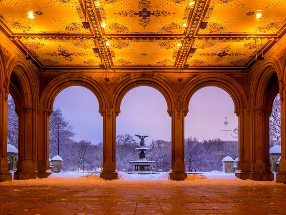 Bethesda Fountain