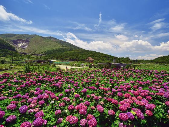 Yangmingshan National Park