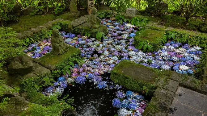 4_Kamakura Hasedera