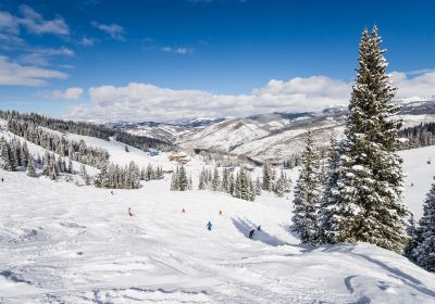 Vail Mountain