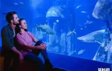 倫敦海洋生物水族館