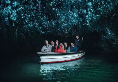 Waitomo Glowworm Caves