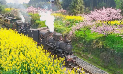 Jiayang Narrow-Gauge Train