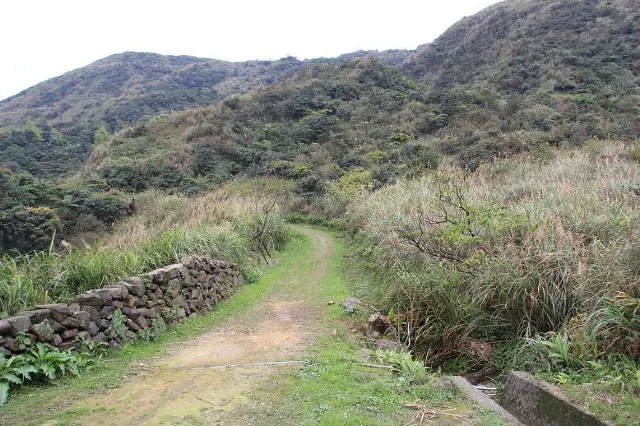 【芒草季懶人包】網美打卡！精選全台11個賞芒草景點，秋高氣爽出遊去！