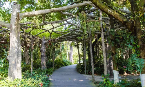 Guangxi Botanical Garden of Medicinal Plant