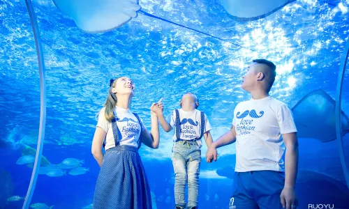 Guizhou Polar Ocean World