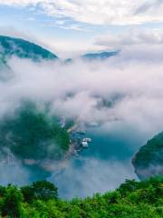 Longjing Valley