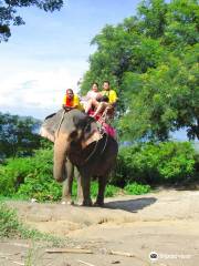 Camp Chang Kalim - elephant camp