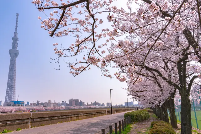 隅田公園