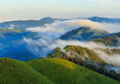 Thong Pha Phum