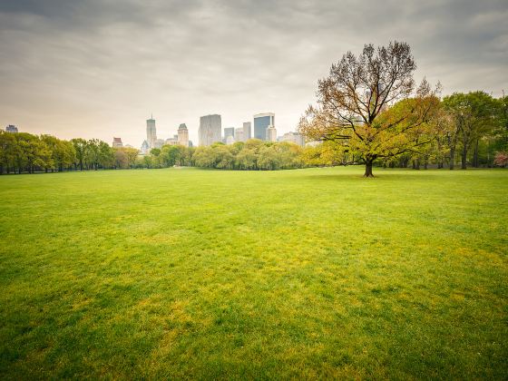 Sheep Meadow