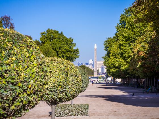 Tuileries Garden