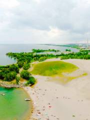 Woodbine Beach