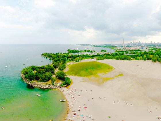 Woodbine Beach