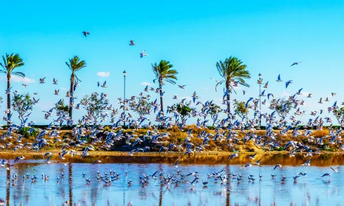 Lake Bogoria