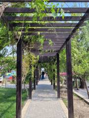 Tianyuan Farm Picking Garden