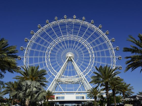 Orlando Eye