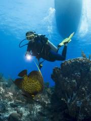 Diving in Nha Trang