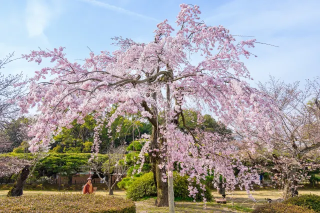 栗林公園