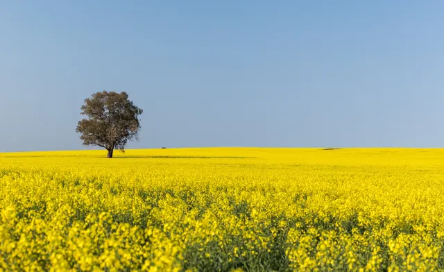 8 Incredible Natural Wonders to see in New South Wales, Australia