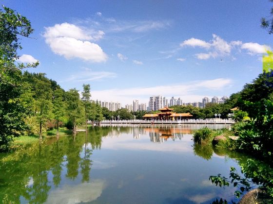 田頭荔枝公園