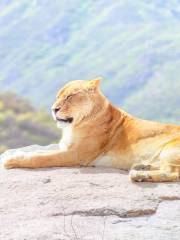 八達嶺野生動物世界