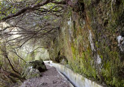 Madeira