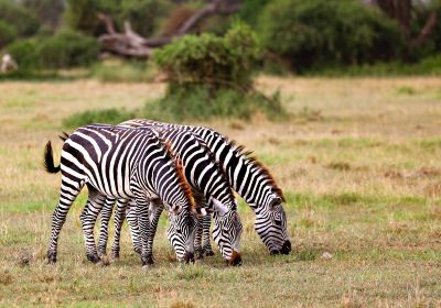 Amboseli National Park