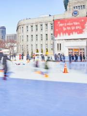 Ice Skating in Seoul