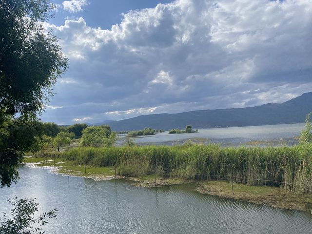 Wetlands scenic spot in Lijiang