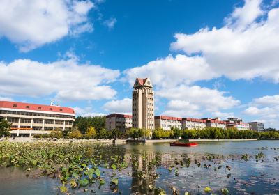 Yantai University