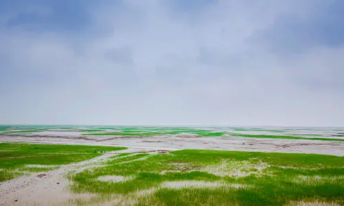 Hangzhou Bay National Wetland Park