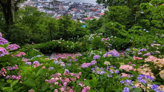 5_Kamakura Hasedera