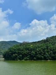 Fenghuang Mountain Forest Park