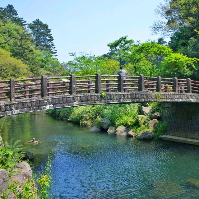 น้ำตกซอนจียอน (Cheonjeyeon Falls)