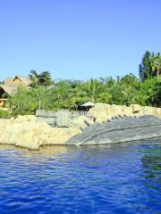 Discovery Cove